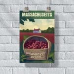 Massachusetts Cranberry Bogs Poster